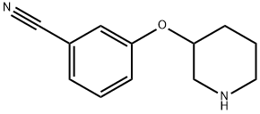 902836-93-5 3-(哌啶-3-氧基)苯甲腈