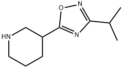 3-[3-(1-methylethyl)-1,2,4-oxadiazol-5-yl]piperidine Structure