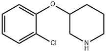 3-(2-CHLOROPHENOXY)PIPERIDINE|3-(2-氯苯氧基)哌啶