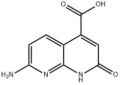 7-AMINO-2-HYDROXY-1,8-NAPHTHYRIDINE-4-CARBOXYLIC ACID|7-氨基-2-羟基-1,8-萘啶-4-羧酸