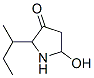 3-Pyrrolidinone,  5-hydroxy-2-(1-methylpropyl)-|