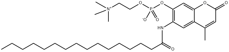 6-HexadecanoylaMino-4-MethyluMbelliferyl Phosphorylcholine 结构式