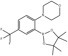 4-[2-(4,4,5,5-テトラメチル-1,3,2-ジオキサボロラン-2-イル)-4-(トリフルオロメチル)フェニル]モルホリン 化学構造式