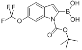 1H-Indole-1-carboxylic acid, 2-borono-6-(trifluoromethoxy)-, 1-(1,1-dimethylethyl) ester 化学構造式