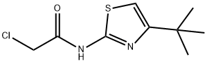 CHEMBRDG-BB 9071167|N-(4-叔丁基-1,3-噻唑-2-基)-2-氯乙酰胺