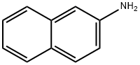 2-Aminonaphthalene Structure