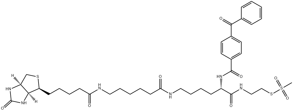 910036-44-1 2-[Nα-Benzoylbenzoicamido-N6-(6-biotinamidocaproyl)-L-lysinylamido]ethyl Methanethiosulfonate