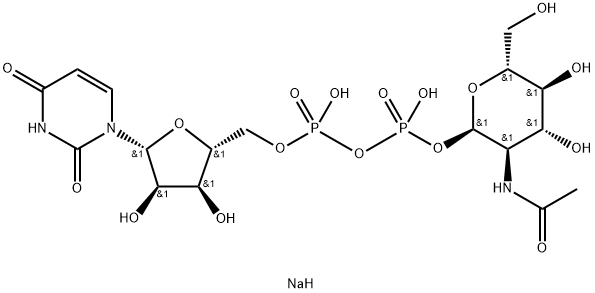 UDP-ALPHA-D-N-ACETYLGLUCOSAMINE, DISODIUM SALT|5′-二磷酸尿嘧啶核苷-N-乙酰半乳糖胺二钠盐