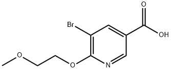 912454-34-3 5-broMo-6-(2-Methoxyethoxy)nicotinic acid