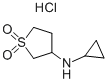 Cyclopropyl-(1,1-dioxo-tetrahydrothiophen-3-yl)-amine hydrochloride Structure