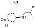 (2,2-Difluoro-ethyl)-(1,1-dioxo-tetrahydrothiophen-3-yl)-amine Structure