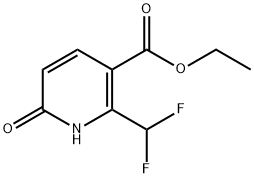 ethyl 2-(difluoroMethyl)-6-hydroxynicotinate Structure