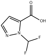 2-二氟甲基-2H-吡唑-3-羧酸,925199-97-9,结构式