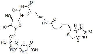 5-(N-biotinyl-3-aminoallyl)uridine 5'-triphosphate Structure