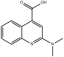 933728-79-1 2-(DiMethylaMino)quinoline-4-carboxylic acid