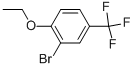 2-Bromo-1-ethoxy-4-trifluoromethyl-benzene, 934495-35-9, 结构式