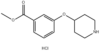 3-(哌啶-4-基氧基)苯甲酸甲酯盐酸盐,936128-98-2,结构式