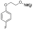 O-[2-(4-Fluoro-phenoxy)-ethyl]-hydr
oxylamine hydrochloride,936250-29-2,结构式