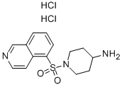 1-(Isoquinoline-5-sulfonyl)-piperidin-4-ylamine dihydrochloride Structure