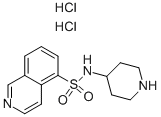 Isoquinoline-5-sulfonic acid piperidin-4-ylamide dihydrochloride Struktur