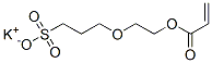 potassium 2-(3-sulphonatopropoxy)ethyl acrylate 结构式