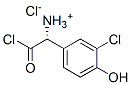 (R)-α-アミノ-3-クロロ-4-ヒドロキシベンゼン酢酸クロリド・塩酸塩 化学構造式