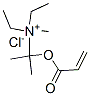 diethylmethyl[1-methyl-1-[(1-oxoallyl)oxy]ethyl]ammonium chloride 结构式