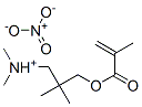 [3-(methacryloyloxy)-2,2-dimethylpropyl]dimethylammonium nitrate Struktur