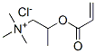 trimethyl-2-[(1-oxoallyl)oxy]propylammonium chloride,93919-29-0,结构式