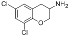 2H-1-BENZOPYRAN-3-AMINE,6,8-DICHLORO-3,4-DIHYDRO- 结构式