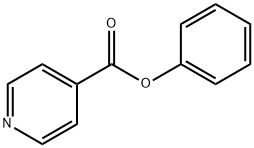 94-00-8 イソニコチン酸 フェニル