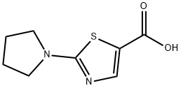 2-(吡咯烷-1-基)噻唑-5-羧酸 结构式