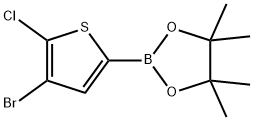 4-ブロモ-5-クロロチオフェン-2-ボロン酸ピナコールエステル 化学構造式