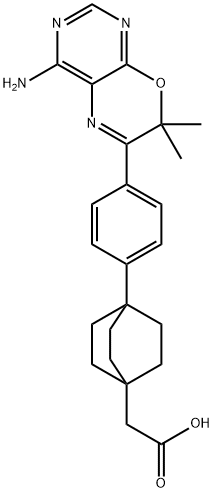 BICYCLO[2.2.2]OCTANE-1-ACETIC ACID, 4-[4-(4-AMINO-7,7-DIMETHYL-7H-PYRIMIDO[4,5-B][1,4]OXAZIN-6-YL)PHENYL]- Structure