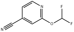 2-(difluoroMethoxy)isonicotinonitrile 化学構造式