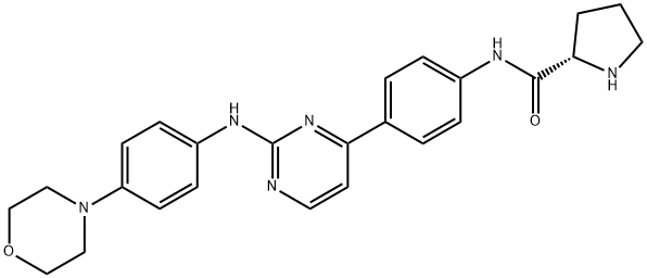 XL019 Struktur