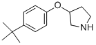 3-[4-(TERT-BUTYL)PHENOXY]PYRROLIDINE Structure