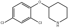 3-(2,4-DICHLOROPHENOXY)PIPERIDINE 结构式