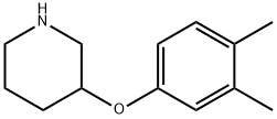 946725-92-4 3-(3,4-DIMETHYLPHENOXY)PIPERIDINE