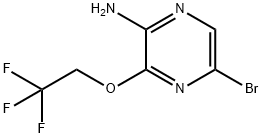 5-溴-3-(2,2,2-三氟乙氧基)-2-吡嗪胺 结构式