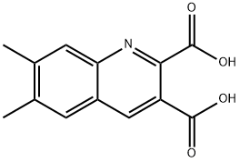 6,7-DIMETHYLQUINOLINE-2,3-DICARBOXYLIC ACID Structure
