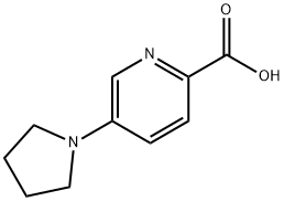 5-PYRROLIDIN-1-YLPYRIDINE-2-CARBOXYLIC ACID