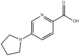 950603-19-7 5-ピロリジン-1-イルピリジン-2-カルボン酸