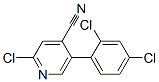 4-Pyridinecarbonitrile,  2-chloro-5-(2,4-dichlorophenyl)- Struktur