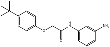 N-(3-Aminophenyl)-2-[4-(tert-butyl)phenoxy]-acetamide Structure