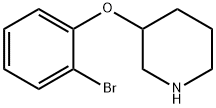 3-(2-Bromo-phenoxy)-piperidine,954223-02-0,结构式