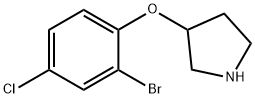 3-(2-Bromo-4-chloro-phenoxy)-pyrrolidine 结构式