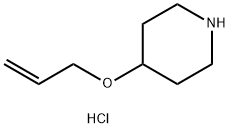 4-(アリルオキシ)ピペリジン塩酸塩 化学構造式