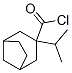 Bicyclo[3.2.1]octane-3-carbonyl chloride, 3-(1-methylethyl)- (9CI) 结构式