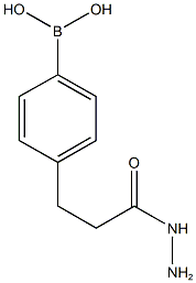 4-(3-ヒドラジニル-3-オキソプロピル)フェニルボロン酸 化学構造式